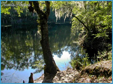 Along with river rise preserve state park, these state parks offer over 6,000 acres of camping, swimming, canoeing, hiking, cycling and many miles of equestrian trails. O'LENO STATE PARK MAP FLORIDA - TravelsFinders.Com