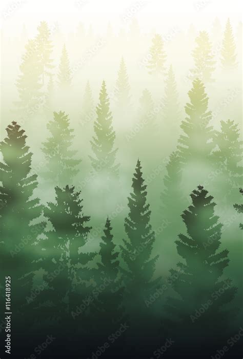 Misty Forest Landscape Foggy Forest Landscape Stock Vector Adobe Stock