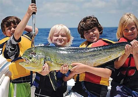 Share to catch the uncatchable movie to your friends. Catch Mahi-Mahi Without Dragging Bait | Coastal Angler ...