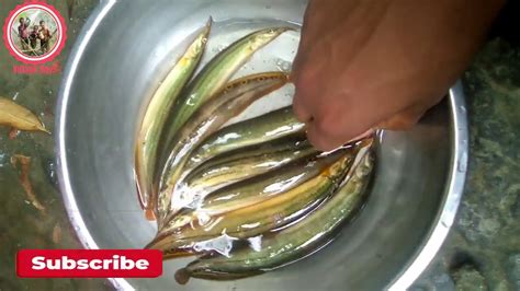 Pipul Oil For Fishing L Fishing Oil To Catch Fish L Oil Fishing L