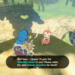 These are the best botw recipes. Zelda: Breath of the Wild guide: Recital at Warbler's Nest ...