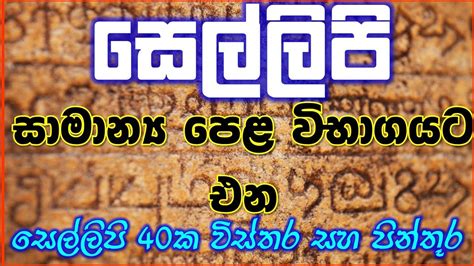 Grade 10 History Sellipi Inscription In Sri Lanka Sellipi Pictures