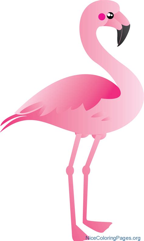 Flamingo Clipart Pink Flamingo Flamingo Pink Flamingo