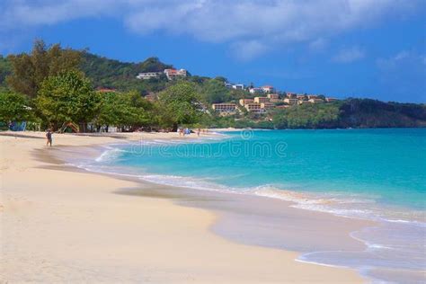 Grand Anse Beach In Grenada Caribbean Panorama Of Grand Anse Beach In