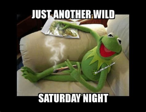 Just Another Wild Saturday Night Kermit Smoking Weed Memes