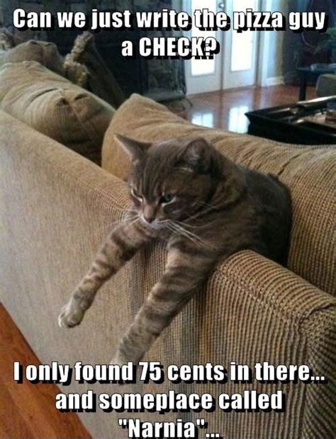 Snapchat is a great medium to capture your feline's foibles, because its highly visual and you can also tag your pics with a witty caption. Funny cat pictures: Cat discovers Narnia - Funny Cat ...