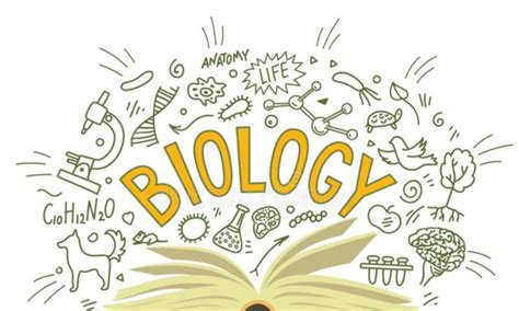 Thema 1 Wat Is Biologie Biologiemetzwakhals