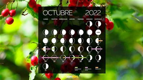 Calendario Lunar De Octubre 2022 Fases Lunares