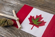 Here's How Much Marijuana Canadians Bought in the First Year of ...