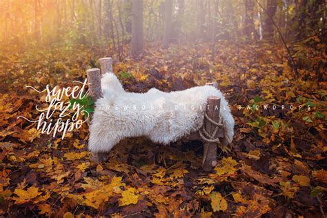 Fall Newborn Digital Backdrop Newborn Bed In The Autumn Forest Autumn