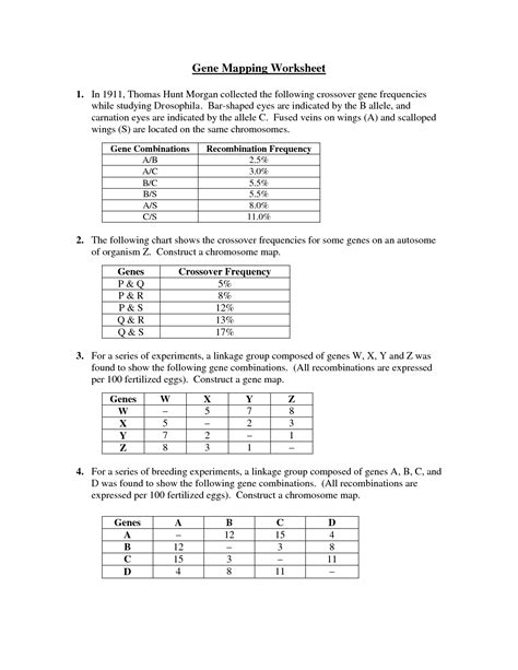 This is the currently selected item. 32 Genes And Chromosomes Worksheet Answers - Worksheet ...