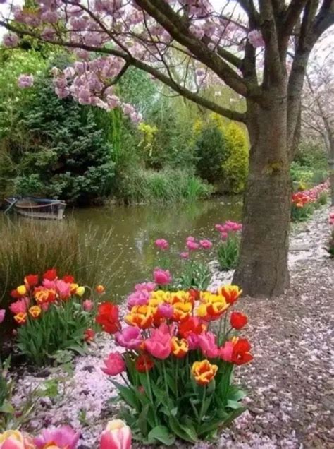 Pin By Madonna Mccoslin On Home And Garden Beautiful Gardens Spring