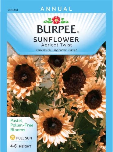 Burpee Apricot Twist Sunflower Seeds 1 Count Harris Teeter