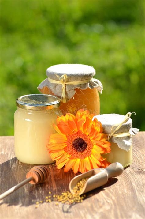 Gläser Voll Köstlicher Honig Und Bienenblütenstaub Stockfoto Bild Von Bienenstock Vorstand