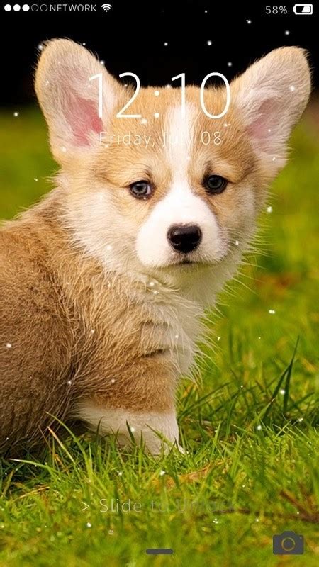 Cute Puppy Lock Screen Free Android Theme Download Appraw