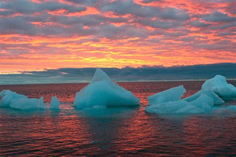 How Tiny Plankton Could Give Global Warming A Significant Boost