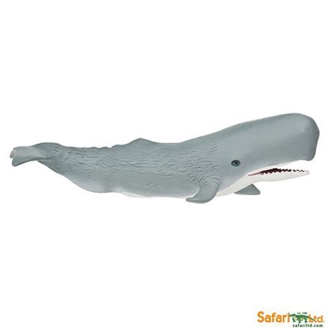 Safari Ltd Sperm Whale Wild Safari The Wooden Toy Co