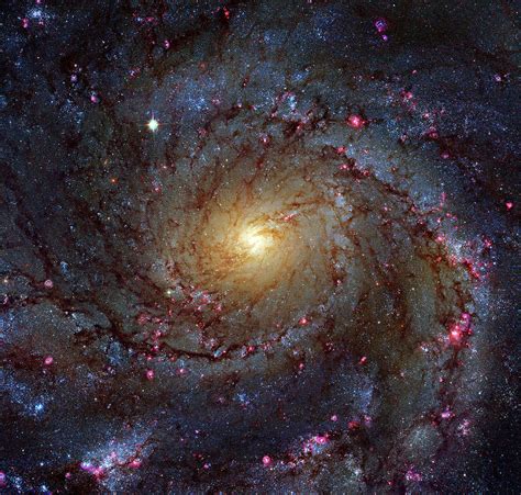 Pinwheel Galaxy Photograph By Hubble Legacy Archiverobert Gendler