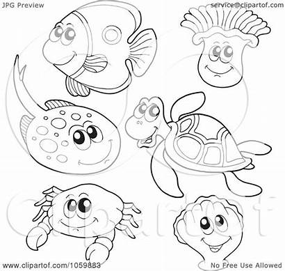 Coloring Sea Animals Outlines Collage Clip Clipart