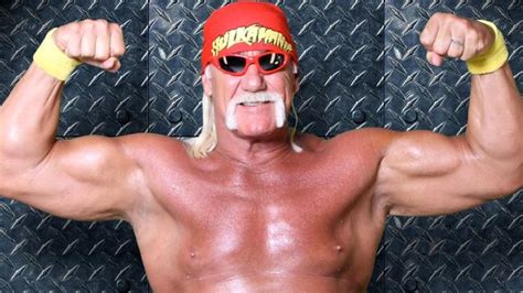 Wwe Sacks ‘racist Wrestler Hulk Hogan