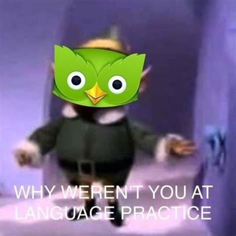 WHY WEREN T YOU AT LANGUAGE PRACTICE Evil Duolingo Owl Know Your Meme
