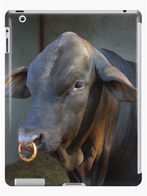 Jul 23, 2021 · jump (4), fireball (3, burn, piercing) level: "Beef-master Bull with nose ring" iPad Cases & Skins by ...