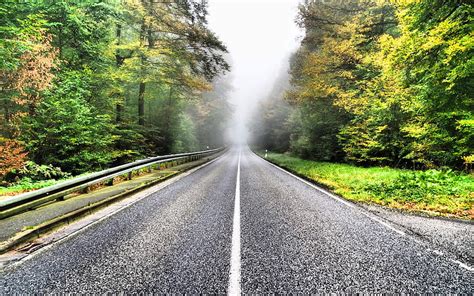 Asphalt Road Forest Fog Autumn Suspense Concepts Hd Wallpaper Peakpx