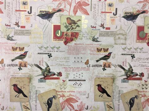 Italian Paper Birds Full Sheet Amazing Paper