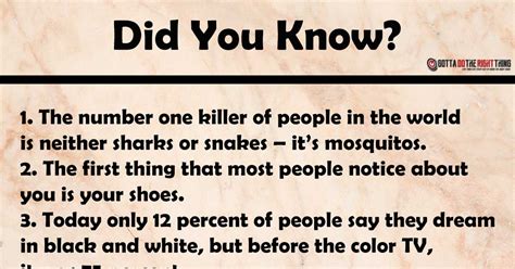 Awesome Random Facts You Probably Didn T Know By Now Gotta Do The