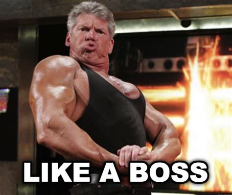 39 Best Wrestling Memes Images On Pinterest Wrestling