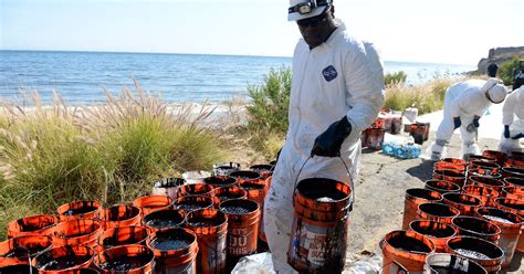 Cause Of Oil Spill Probed As Cleanup Of Calif Coast Continues