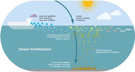 Ocean Fertilization Oceannets