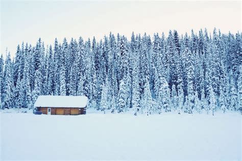 Lapland Cabins And Log Cabins Lapland Finland