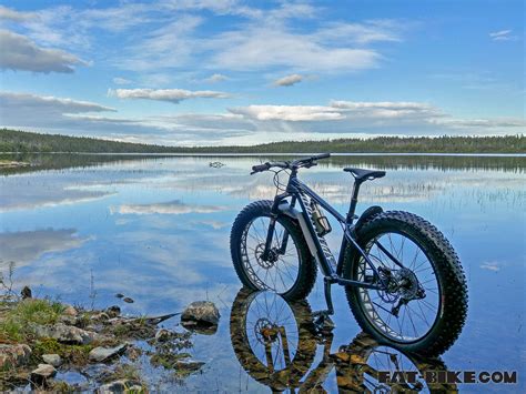 Free Download Wallpaper Wednesday Specialized In Newfoundland Fat