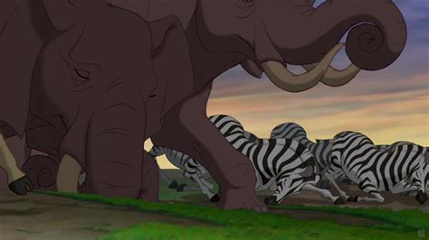 Elephant And Zebra Animal Illustration Movies The Lion King Disney