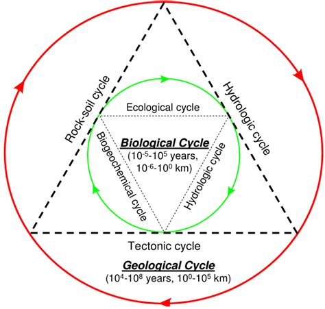 A Principle Sub Cycles Within The Geological Cycle And The Biological Download Scientific