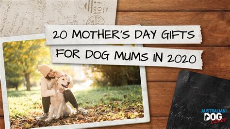 Australian Dog Lover 2020 Mothers Day T Guide For Dog Mums Youtube