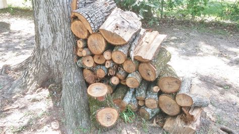 Our firewood comes in one cord, half cord, quarter cord need a bag of our premium firewood? Free Images : tree, trunk, log, firewood, stack, garden ...
