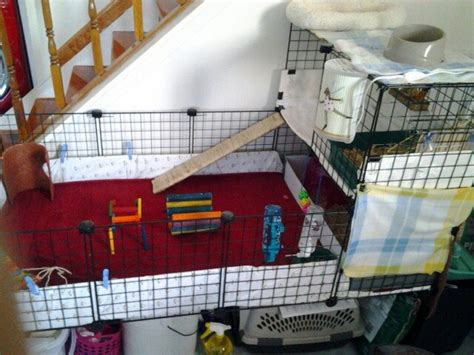 Build A Guinea Pig Cage With Cubes And Corrugated Plastic C C