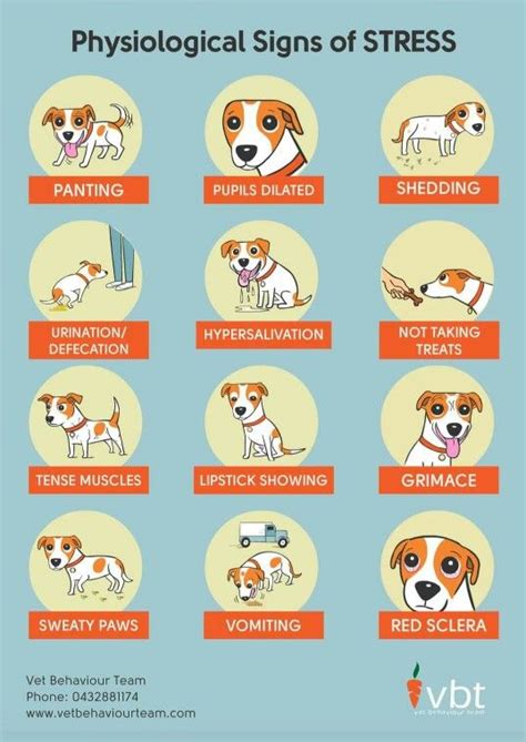 Pin On Dog Training Dog Stuff Dog Sites