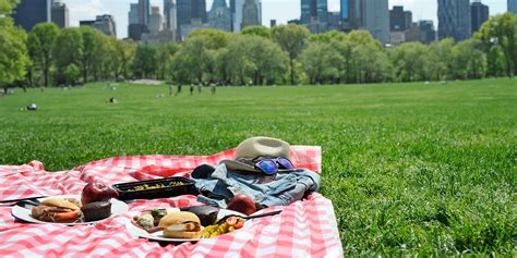 39 Nyc Central Park Picnic For 2 In Summer Travelzoo