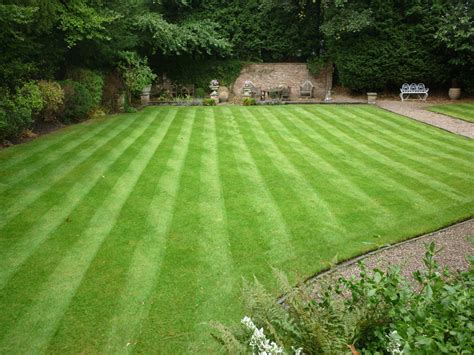 This Was One Of My Earliest Lawns I Regenerated Back In 2010 This Lawn