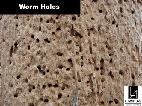 Worm Holes La Furniture Store