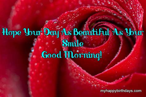 200 Romantic Good Morning Wishes With Roses Flowers Hd