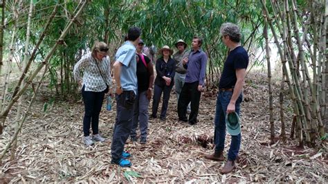 green belt movement on twitter hosting a delegation from the nature conservancy uk kenya