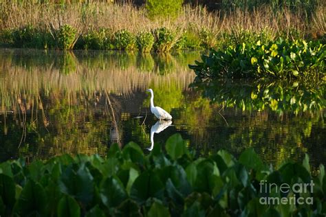 Nature Is Patient Photograph By Byron Varvarigos Fine Art America