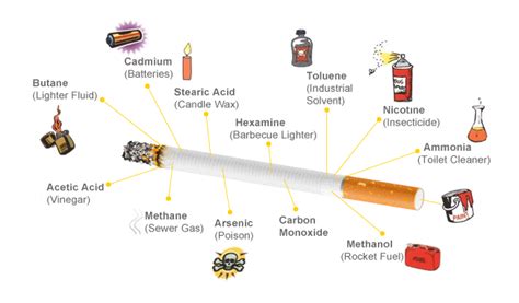 Smoking Facts Whats In A Cigarette