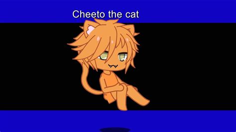 Cheeto The Cat Itsfunneh First Video Youtube