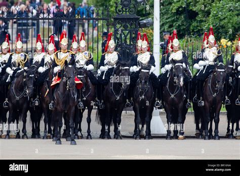 Blues And Royals Household Cavalry Trooping The Colour 2010 Stock