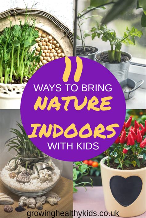 11 Ways To Bring Nature Indoors With Kids Diy Garden Projects Garden